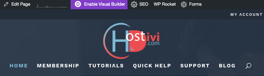 enable the visual builder